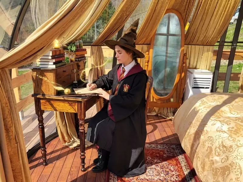 bulle-la-chambre-du-secret-harry-potter