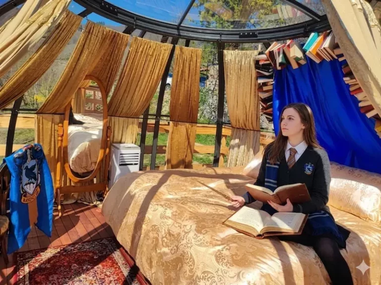 bulle-la-chambre-du-secret-hermione